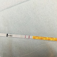 月经推迟半个月，偶尔干呕，偶尔小腹痛,金秀儿半定量强阳，早孕也是双杠