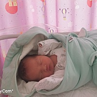 孕期一直感觉胸闷气短，胎动频繁，睡眠不足，前三个月更是吐的暗无天日，反复吸氧中度过孕期，想着二宝...