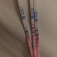 这是排卵了吗      还是准备开始排卵   帮帮忙呗