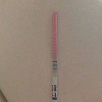 大卫排卵试纸说明书是下面线比上面的线深色是强阳，按照图片我是不是弱阳啊？本想等到强阳再测，但第二...