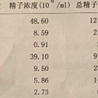 我还是很感谢之前一直鼓励我，安慰我的小姐妹们。 之前我和我老公去做检查的报告出来了，心就像掉进了冰...