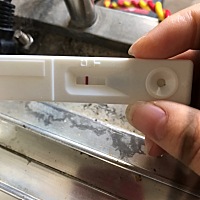 激动