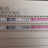 10.20上午排卵试纸一个杠，等到晚上看那个试纸就成了两个杠，今天上午测也是两个杠，是排卵了吗？