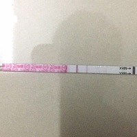 各位姐妹们都说说你们有没有吃VE？备孕的时候？可以吃一点吗？上个月经很少，这个月准备吃一点，测的金....
