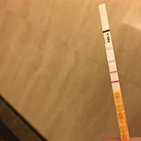 金秀儿早孕双杆了，然后天天跑厕所，不知道是不是我的心里作用还是真的因为怀孕了导致的尿频，还没有去...