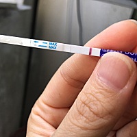 好几个月了比脸还白