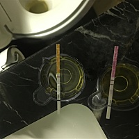 刚才测了金秀儿的排卵试纸，颜色很深，很明显的双杆，明天就是姨妈日了，但是再测早早孕，颜色很浅，不...