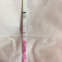 会白带很多我是那天流了就用金秀儿试纸测一下显示阳下午强阳😜就赶紧上医院查卵泡