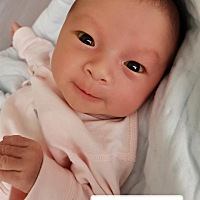 我的宝宝肤白貌美大长腿，糖糖第15天。从不想生，到生下来不想带，再到爱不释手决定好好养她爱她护她，...