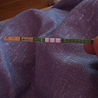 想怀的时候怀不上，不想怀的反而中了。也是这就是缘份吧。还有四天到姨妈日，今早刚测的