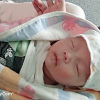 有没有宝妈像我一样，生完宝宝，阴道闭合不全，50多天，底下还是流血，淋漓不尽的。无奈