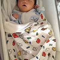 我们小猪出栏一周喽。叔叔阿姨把自家小白菜看好喽。回家睡爸妈的大床真舒服。 每三个小时醒一次，喂一次...