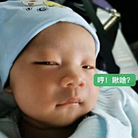 我家小毛豆今天1月2天了！是不是长大了，也变样了呢？妈妈爱你哦！