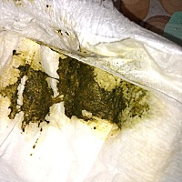 谢谢各位的宝贝意见
