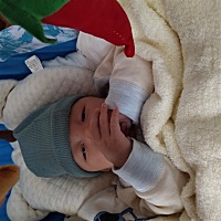 对你这个小家伙真是又爱又恨