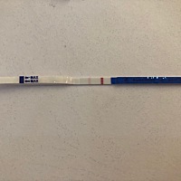 可以确定了吗？