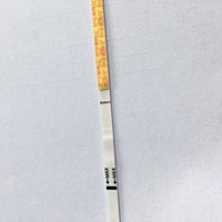 早孕试纸一直白板☺直到今天早上排卵测金.秀.儿出了弱阳随后就去医院查血查超
