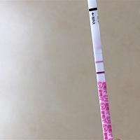 昨晚测到金秀儿强阳了，已经安排了一次，今天美柚显示排卵日，我是今晚安排呢还是明天？