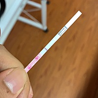 前天做梦梦见自己下面流了好多血还有像蛇胆一样的黄色物体，昨晚做梦自己的验孕棒是两条杠的，今天在我...