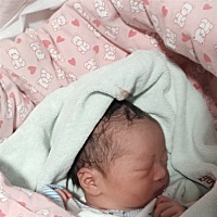 10月31号女宝一枚，顺产，6斤5两