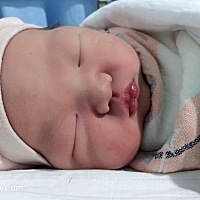 报喜啦，一夜暴富又得一千金。宝宝七斤三两顺产微撕裂，因为是二胎所以发作速度比较快，还好及时到医院...