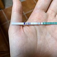今天是例假推迟的第五天了，早孕试纸颜色加深的好慢，明天换其他的早孕试纸看看，心焦不已。