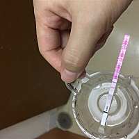 排卵前后都有安排的，金秀儿排卵试纸也一直没停，期望这次科学备孕能给我带来好孕，之前都是稀里糊涂的...