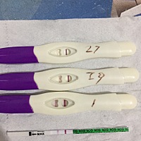 看着它一天天加深我就觉得有盼头了。