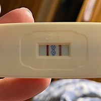 昨晚终于看到了两条双红杠 今天早上可丽蓝测的