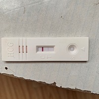 7号莫次月经，22号排卵，昨天测的这是中了吗？担心
