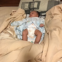 果然是真父子，一个爱折腾，一个也爱闹，两个人玩得不亦乐乎，哈哈😄反正我是笑趴了