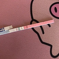 求助！！！我是10月29日当天早上测出的排卵强阳（双杠），但是当天并未同房，直到第二天变成了单杠才同...