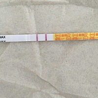 备孕吃什么容易怀上呢？上月看同事吃了黑豆啥的，一下子就测出金秀儿早孕双杆了，我也想试试