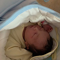 我家小猪初养成🤣