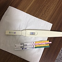 5天前测到灰白色，第二天早上又测，没有两条杠，以为诈糊，今早测了明显两条杠，不放心测了好几遍，我的...