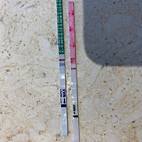 我这是排卵后第11天，一个是大卫。一个是秀儿
