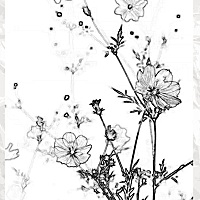 今天送给各位宝妈们一幅小花花，希望你们在不开心的时候，偶然能看到这幅小花花，能给你们带来一点...