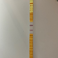 我上个月5号来的姨妈，16号排卵，前几天用早孕测试白板了 😂😂 今天五号了 还没来 我用排卵试纸试试...