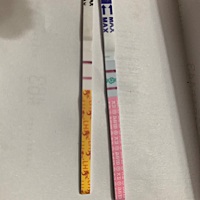 刚刚测到强阳，备孕软件显示8号排卵日。强阳一般可以持续几天啊？