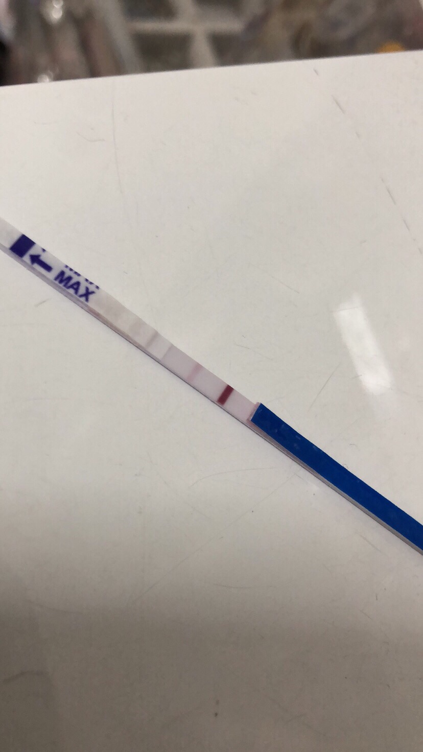 第四天（今天）