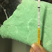 温度会升高吗？如果受精卵着床体温会升高吗？今早温度飙升至36.89， 现在感觉累，金秀儿早孕灰印多点。