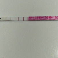我体寒好像是有点肾阳虚，怎么调理能怀孕呀？排卵一直测排卵试纸，也有强阳，但是就是怀不上。