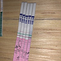 没有测过排卵期 这样是啥意思？