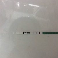 末次月经10月12号，10月26、28 都安排的、11月8号晚上有点来月经一样、但是褐色的，没有鲜红或者深红的...