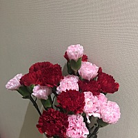 涨奶和，漏奶，肿的都是奶块，找了两次催乳师，只能当时缓解，过后还是有肿块，她说奶没吃干净，让宝宝...