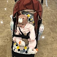 本来想买很多东西，推着娃逛街结果回来才发现除了没有货的还有好几样忘记买了，连商场的抽奖也没有想起...