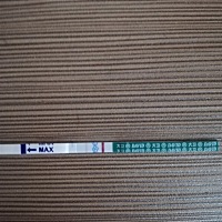 最后一次月经10月14，每个月月经准时，刚刚查的淡淡的双杠，还是好担心！因为去年生化了一个流产一个，...