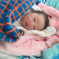 11月5号，孕39+5，刨宫产男宝宝一名，重6斤4两，用了镇痛泵，个人觉得不是很疼，第二天拔了尿管医生就躺...
