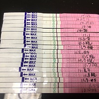 10.22生化，10.27大姨妈结束。排卵试纸一直没变过。怎么回事