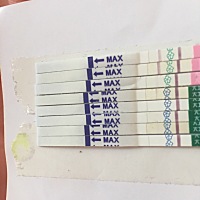 9.30末次月经，月经期没来月经用排卵试纸测两道杠，排卵一条淡淡得，之后排卵试纸变浅，早孕试纸一道特...